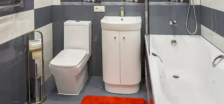Hansgrohe Shaving Mirror Grand Island